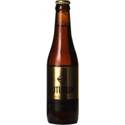 De Toekomst Futurum Tripel Irish Whisky BA - Mister Hop