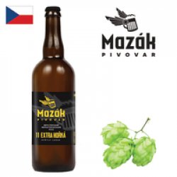 Mazák Extra hořká 11° 750ml - Drink Online - Drink Shop