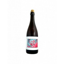 Popihn Sauvages - Cerise Framboise (2023) 75 cl - Bieronomy