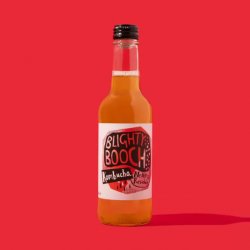 Blighty Booch Kombucha Nettle & Rosehip 6 x 330ml bottle - Stori Beer & Wine