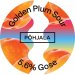 Põhjala Golden Plum Sour 5,6% 20 l Keykeg 