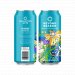 Collective Arts Beyond Reason Micro Pale Ale 
