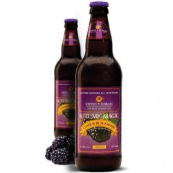 Gwynt Y Ddraig Autumn Magic 4.0% 500ml Bottle - Stori Beer & Wine