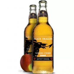 Gwynt Y Ddraig Black Dragon Cider 6.5% 500ml Bottle - Stori Beer & Wine