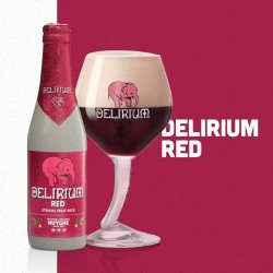 Schop Delirium Tremens  Red  Fruit Beer - Barbudo Growler