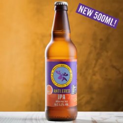 Purple Moose Antlered IPA 5.2% abv 500ml bottle - Stori Beer & Wine