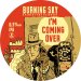 Burning Sky - Im Coming Over - 6.5% Bright IPA - 440ml Can 