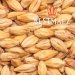 Malta Melanoidin x 1 Kg BestMalz 