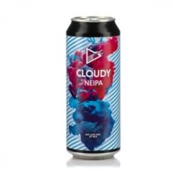 Funky Fluid  Cloudy - Bath Road Beers