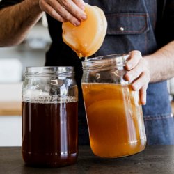 Lov ferments EBOOK: CÓMO PREPARAR KOMBUCHA EN CASA - Lov ferments