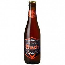 Bush Ambree Scladis 33Cl - Cervezasonline.com