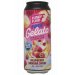 Funky Fluid Free Gelato: Raspberry Banana Shake 