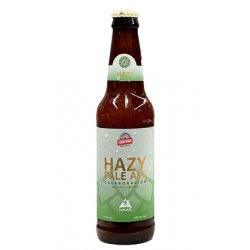 Hazy Pale Ale - Top Beer