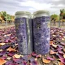 Transient Artisan Ales Grape Fresh Kicks