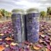 Transient Artisan Ales - Grape Fresh Kicks 