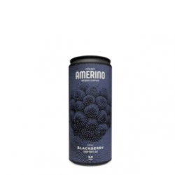 AMERINO BLACKBERRY - Birre da Manicomio