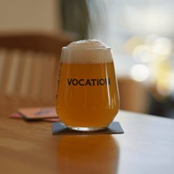 VOCATION ALLEGRA STEMLESS BEER GLASS - The Great Beer Experiment