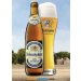 Weihenstephaner Hefeweissbier 50cl Weihenstephaner Hefeweissbier 50cl