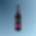 Dortmunder Union Export 