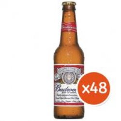 Budweiser Pack Envío Gratis 48 Botellines - Yo pongo el hielo