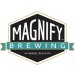 Magnify Brewing Company Decade Sour 4 pack 12 oz. 