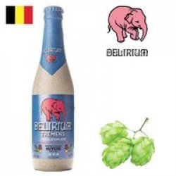 Huyghe Delirium Tremens 330ml - Drink Online - Drink Shop