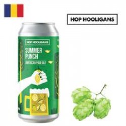 Hop Hooligans Summer Punch 500ml CAN - Drink Online - Drink Shop