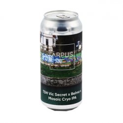 Ārpus Brewing Co. - TDH Vic Secret X Belma X Mosaic Cryo IPA - Bierloods22