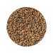 Crisp Rye Malt (žitný slad) 