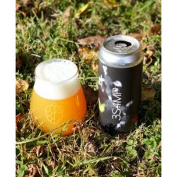 Sapwood Cellars Brewery - 3S4MP (Fidens Collab) - Glasbanken