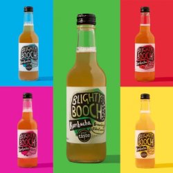 Blighty Booch Kombucha Mixed Case 12 x 330ml bottles - Stori Beer & Wine