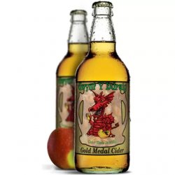 Gwynt Y Ddraig Gold Medal Cider 7.0% 500ml Bottle - Stori Beer & Wine