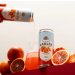 Vault City - Blood Orange Radler 