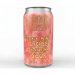 Stoic Guava Mint Lychee Catharina Sour 375ml Can 