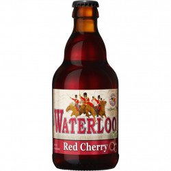 Waterloo Red Cherry 33Cl - Cervezasonline.com