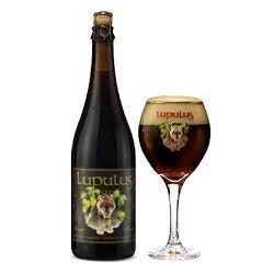 LUPULUS BRUNE 8.5 ° 75 CL BIO - Rond Point