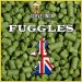 Fuggles (pellet) Fuggles (pellet)