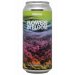 Fidens Brewing Co Flowers In Bloom 