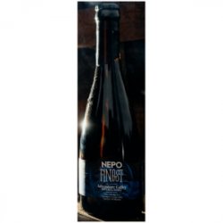 Browar Nepomucen NEPO Finest: Adventure Galley Browar Nepomucen NEPO Finest: Adventure Galley