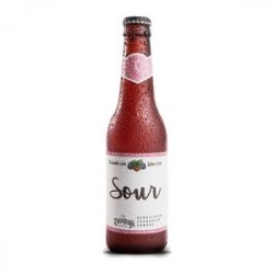 Cervejaria Louvada Catharina Sour Framboesa e Amora