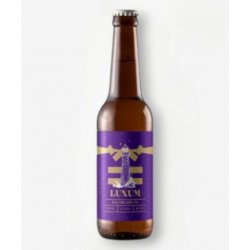 DE WERF LUXUM NEW ENGLAND IPA - Simons Kaas & Noten