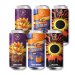 Les Intenables Pack Noir cest Noir - Stout et Porter - 6x44cl 