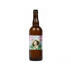 Pivovar Mazák 13 Zimní Pale Ale 0,75L Sklo - Pivovar Mazák