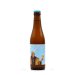 St. Bernardus WIT 