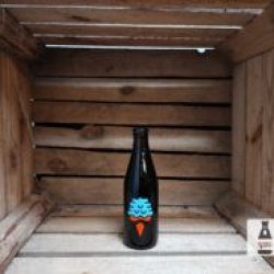 Omnipollo Noa Scoop!