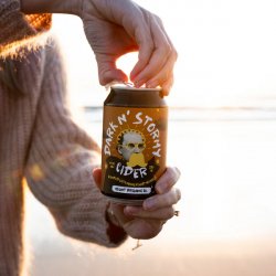 Mount Brewing Co Dark Mount Brewing Co Dark