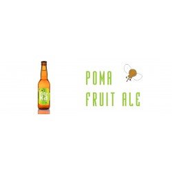 Caixa de 12 Moska Poma Fruit Ale - Moska de Girona