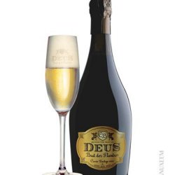 Deus Brut des Flandres 11,5% 75 cl - Trappist.dk - Skjold Burne