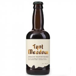 Tynt Meadow Blond 5.0% - Beer Ritz