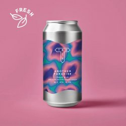 Track - Another Paradise - 5% Pale Ale w Nelson Sauvin & Nectaron - 440ml Can - The Triangle